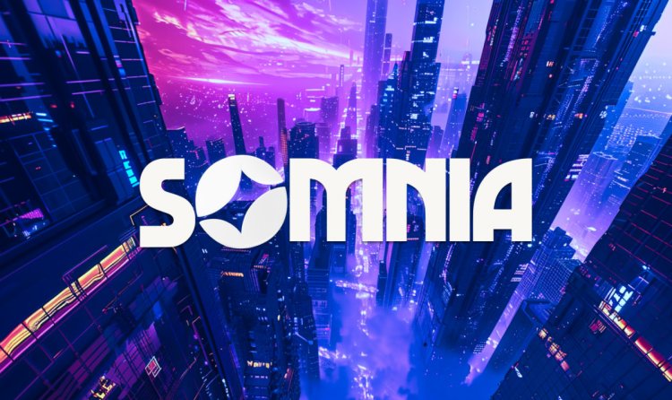 Somnia Unveils Playground A New App for Metaverse Development